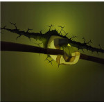 Detská nočná lampa Ninja korytnačky Donatello